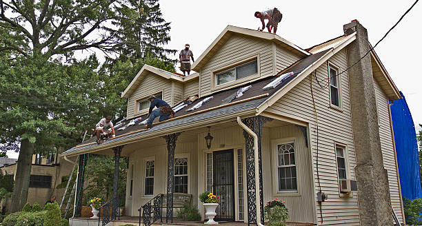Best Storm Damage Roof Repair  in Vonore, TN